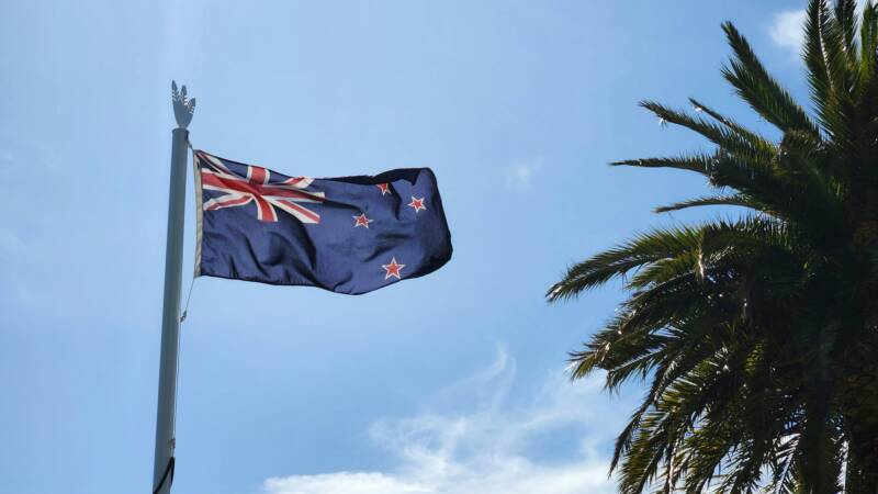 Uuden-Seelannin lippu ja palmupuu