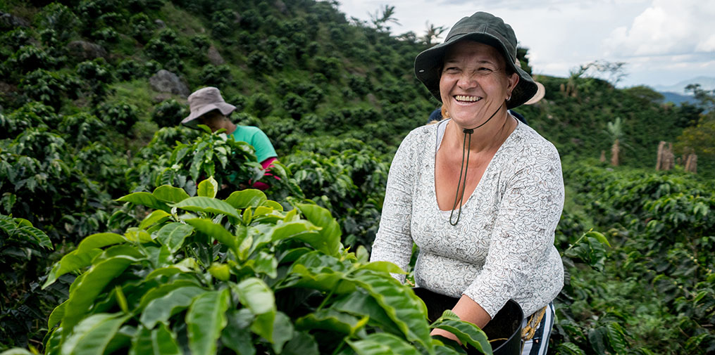 Nainen työskentelee kolumbialaisella kahvivilljelmällä.